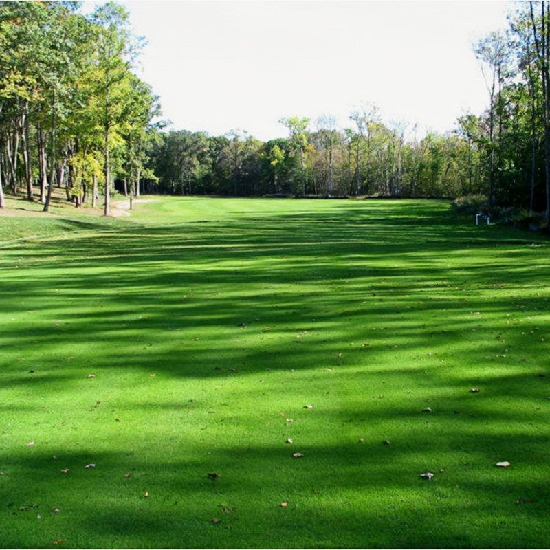 Merit Seeds - Larger Packet High Germination 1/4-1/2LB Onsaleseeds