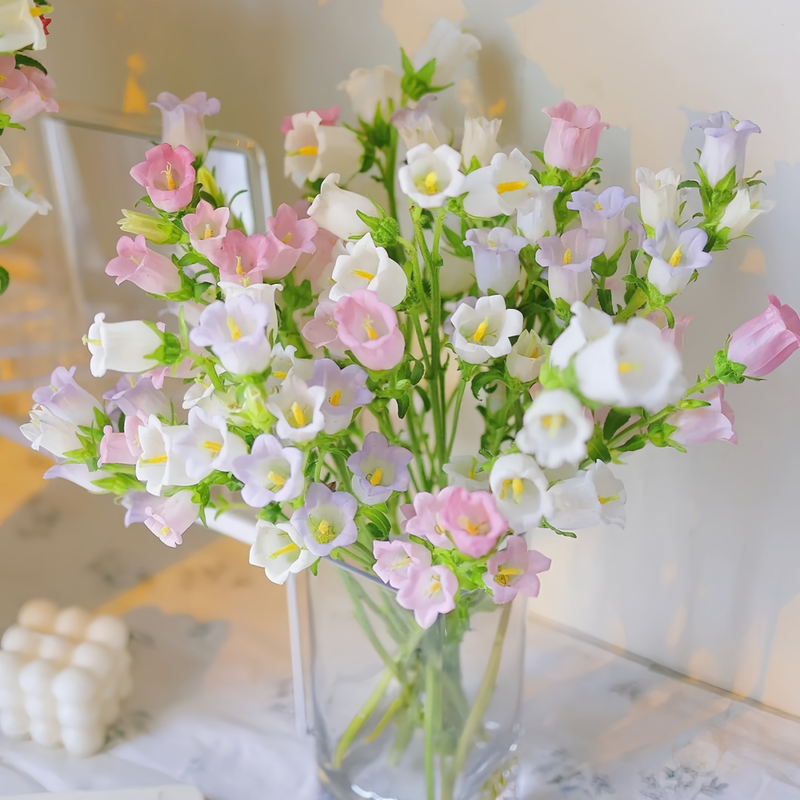 Campanula Mix Seeds up to 50%