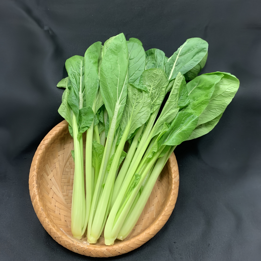 Tatsoi Mustard Green Seeds
