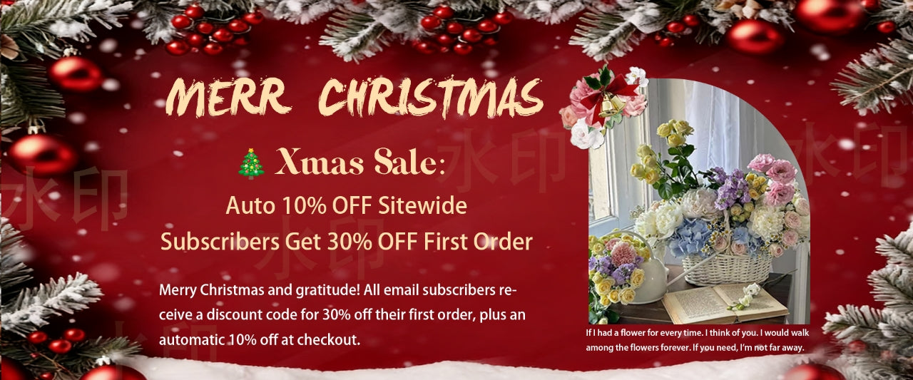 20251205 merry charisma