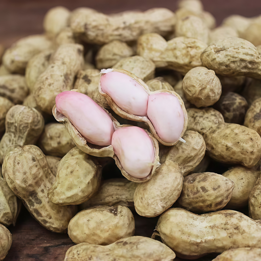 Peanut Seeds