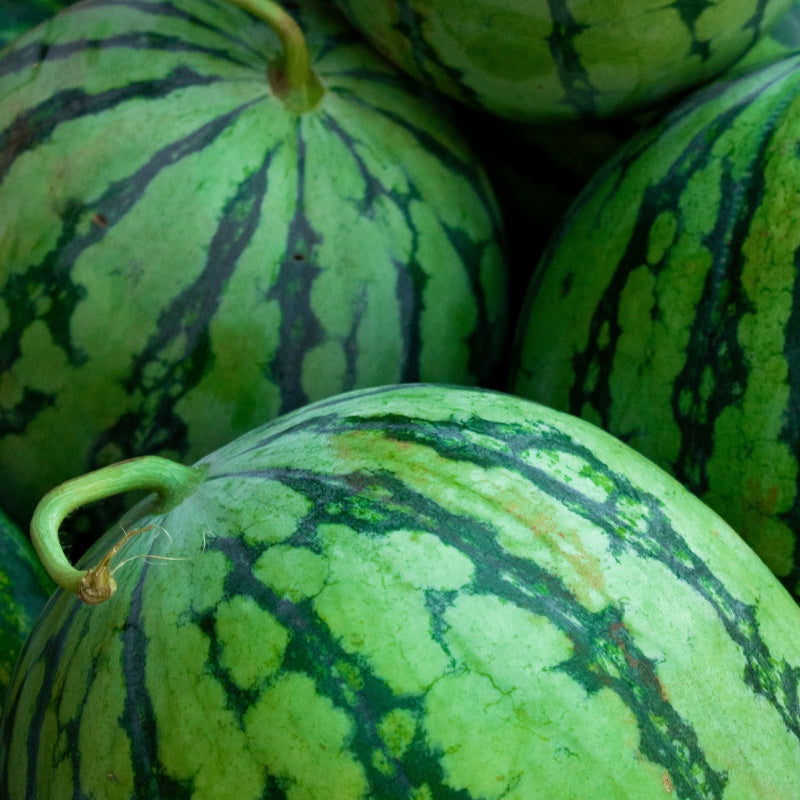 Watermelon Seeds up to 50%