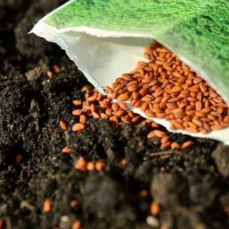 Set of 20 Vegetable Seed Packets – 2000+ Heirloom Seeds for Your Garden up to 50%