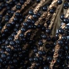 Acai Palm Seeds