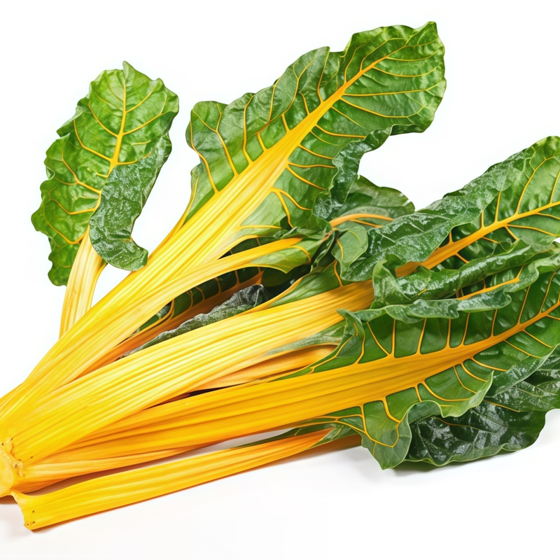 Beta Vulgaris - Green Leaf Yellow Path High Germination  Onsaleseeds