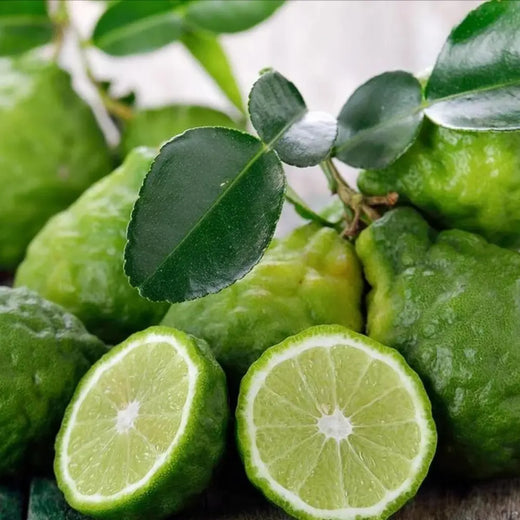 Bergamot Fruit Seeds