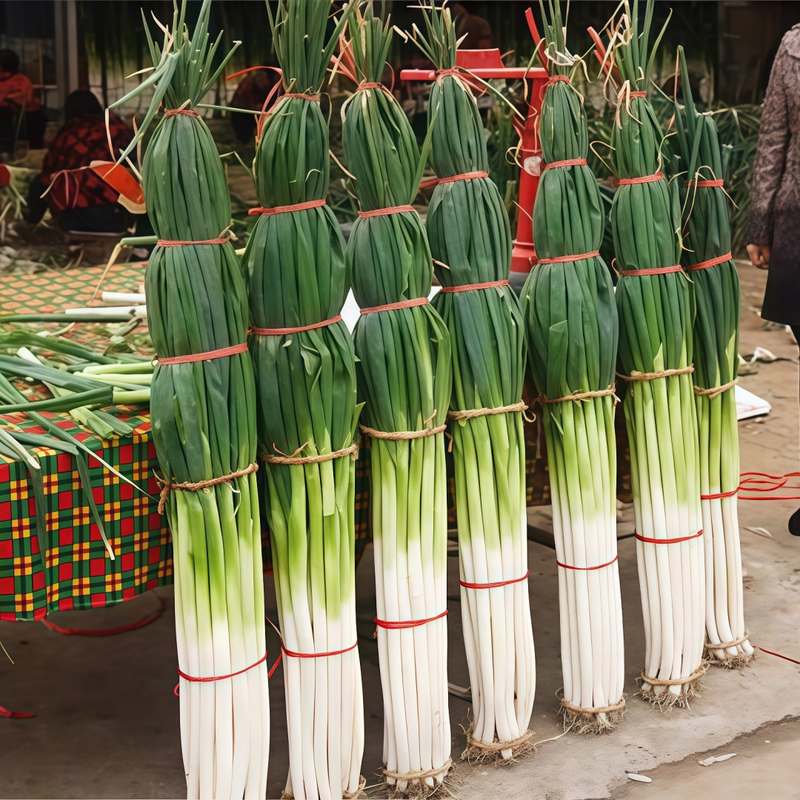 Allium Schoenoprasum Seeds - Large Plant Purplish Red Larger Packet High Germination 5000-25000 Onsaleseeds