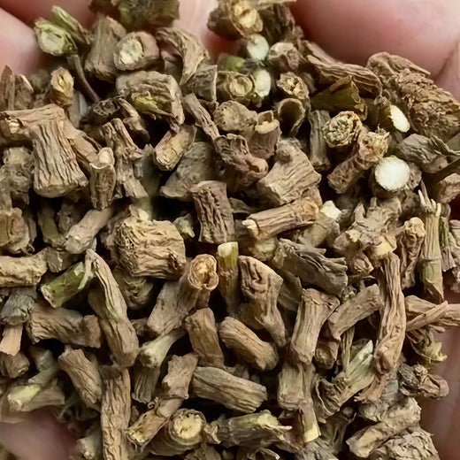 Chinese Thorowax Seeds
