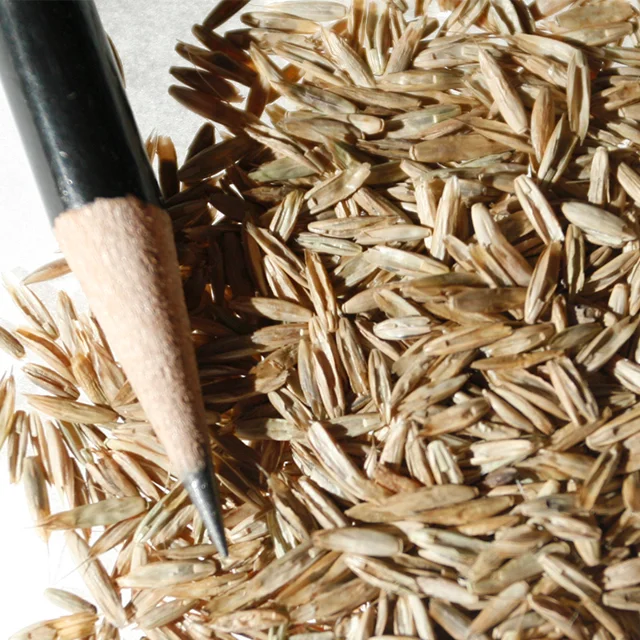 Annual Rye Grass Seeds up to 50%