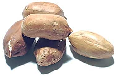 Giant Peanut Seeds Up to 50% Off