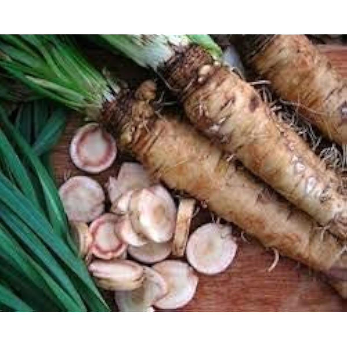 Russian Horseradish Seeds – White – up to 50%
