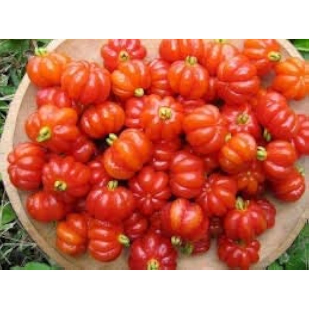 Red Surinam Cherry Seeds Up to 50% Off
