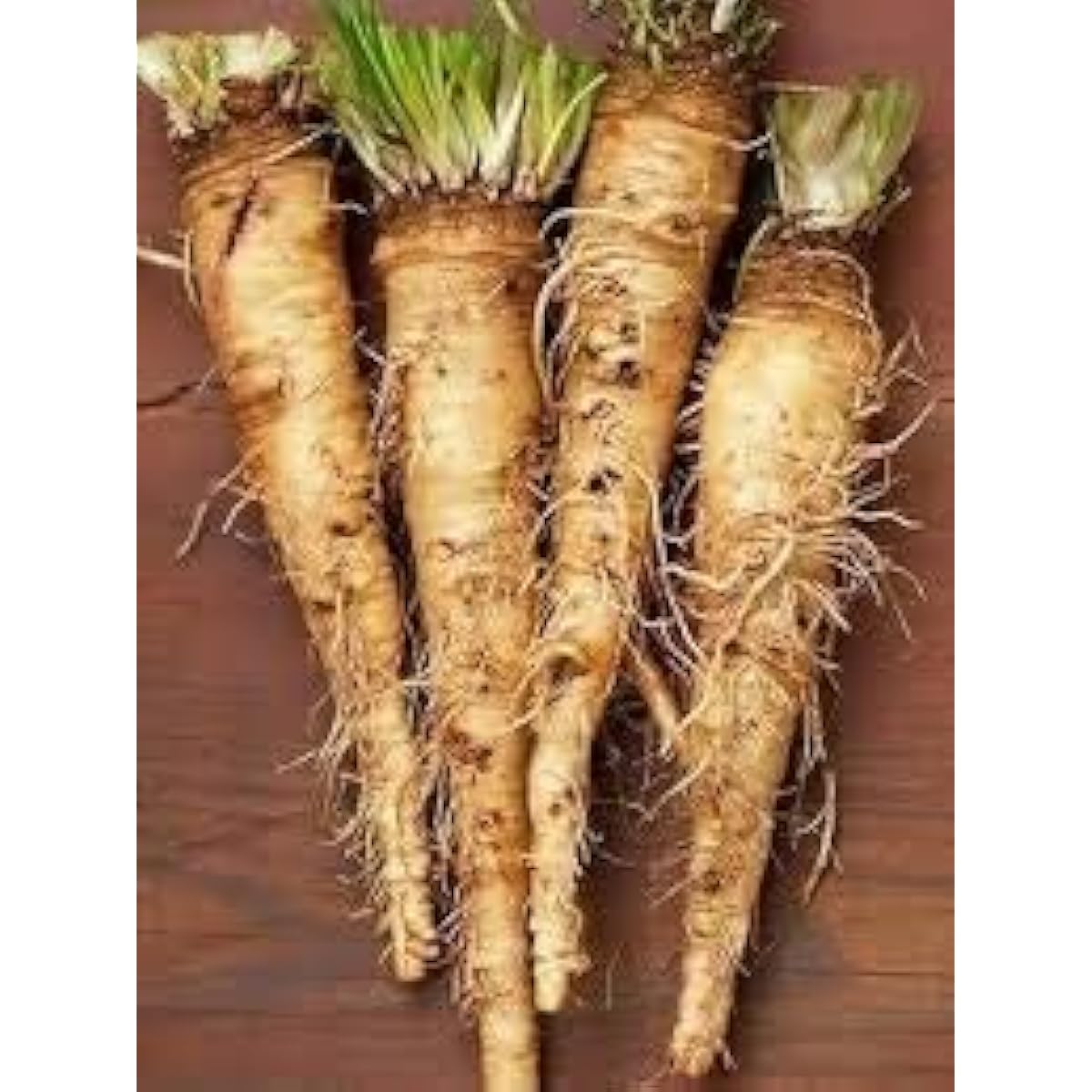 Russian Horseradish Seeds – White – Up to 50%