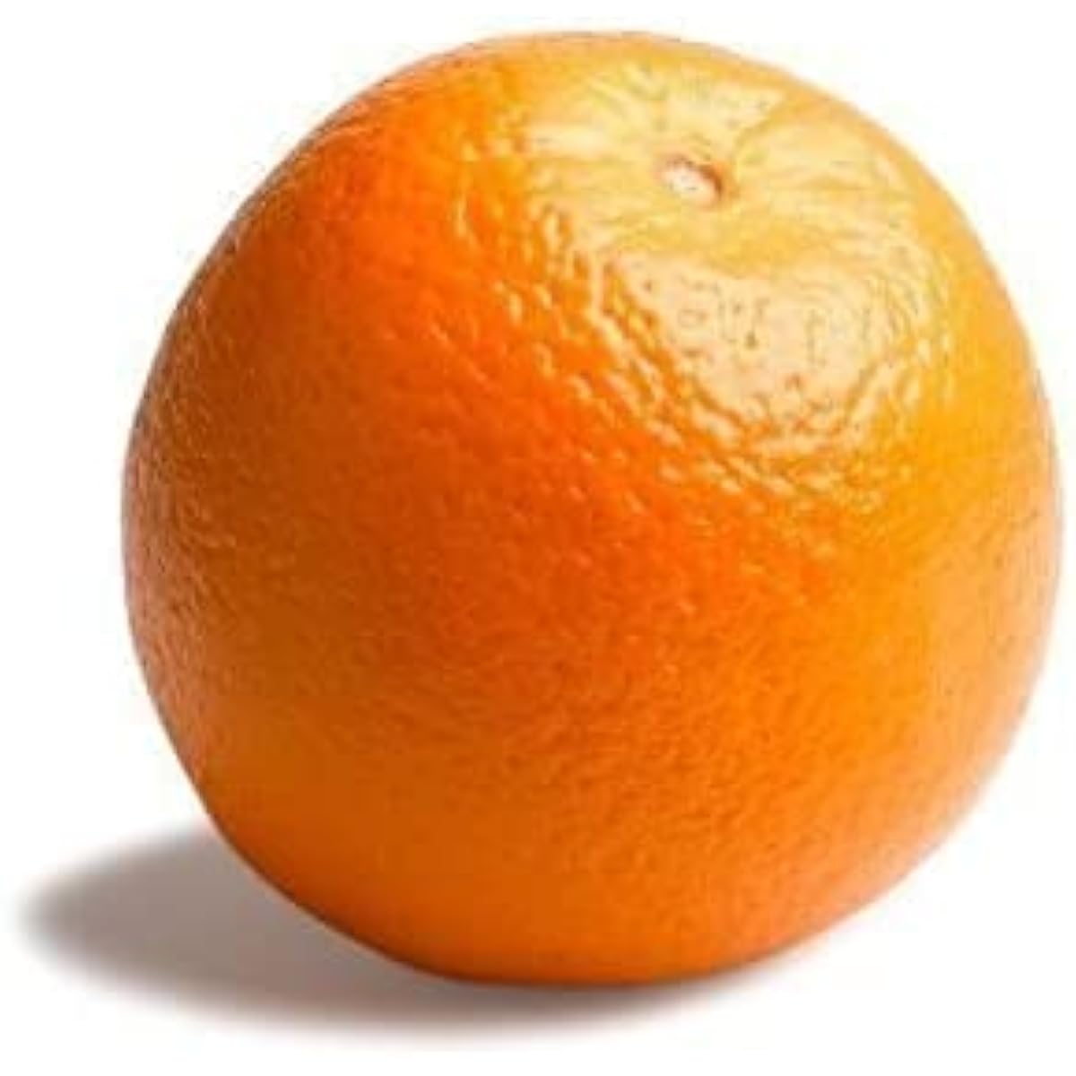 Organic Navel Orange Seeds prime day up to 50%