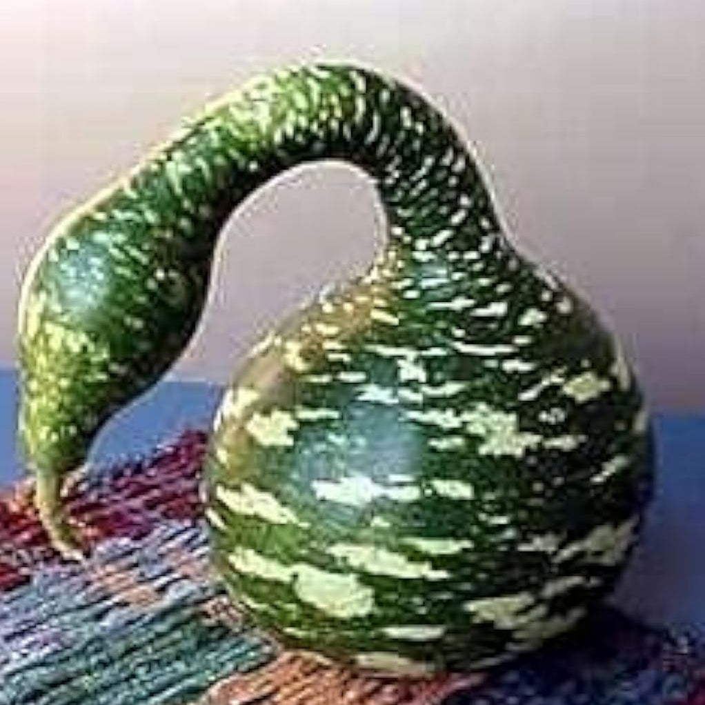 Speckled Swan Gourd Seeds Up to 50% Off