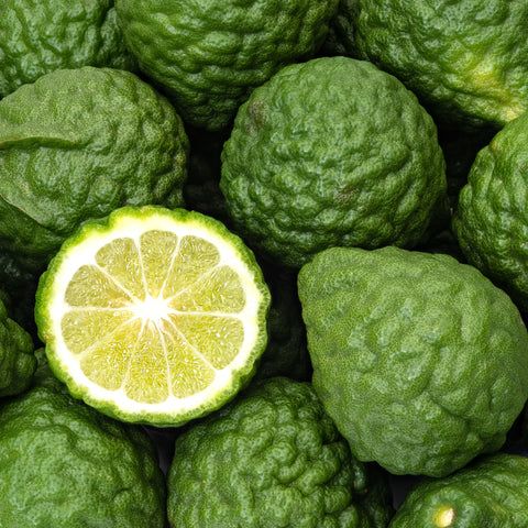 Bergamot Fruit Seeds – Aromatic Citrus Plant Seeds – Up to 50%