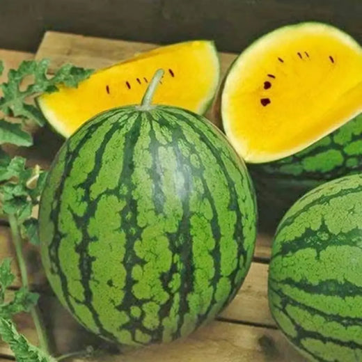 Yellow Watermelon Seeds