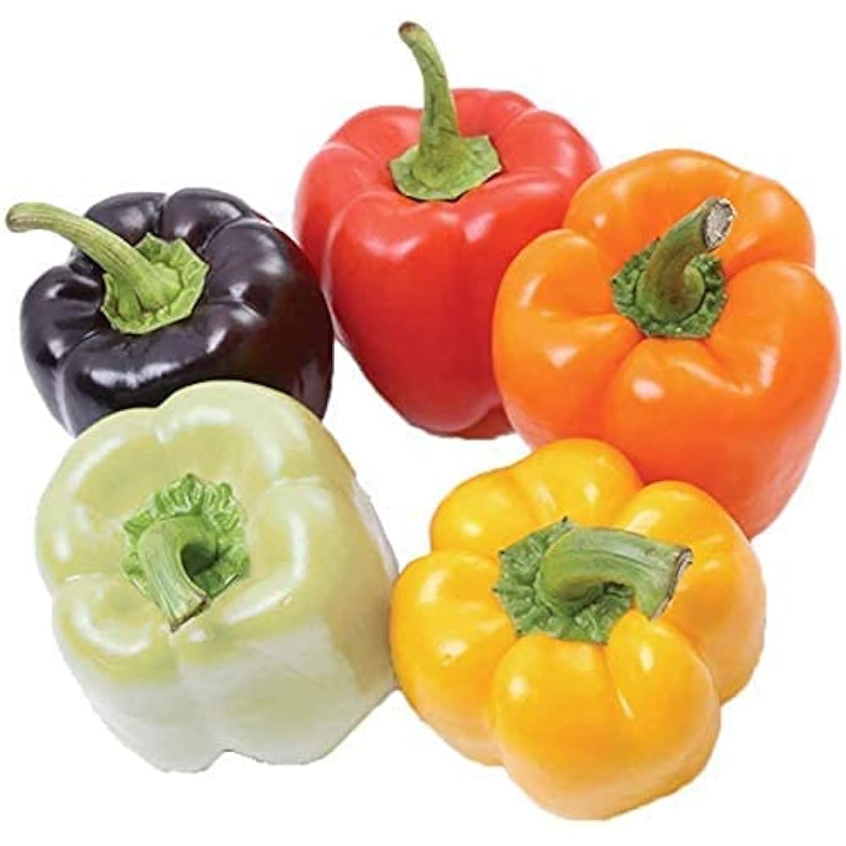 Organic Rainbow Bell Pepper Seeds – Colorful Vegetable | up to 50%