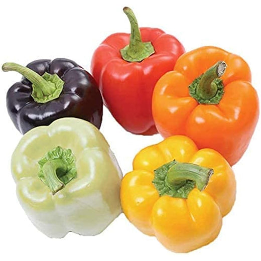 Rainbow Bell Pepper Seeds