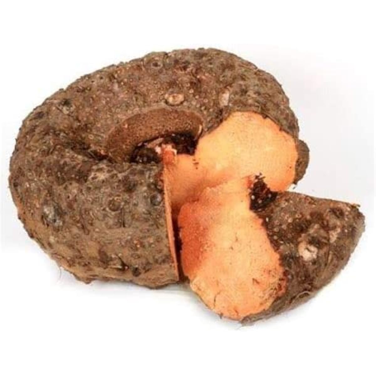 Elephant Foot Yam Seeds Up to 50% Off