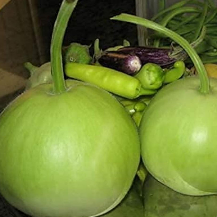 Round Bottle Gourd Seeds Up to 50% Off