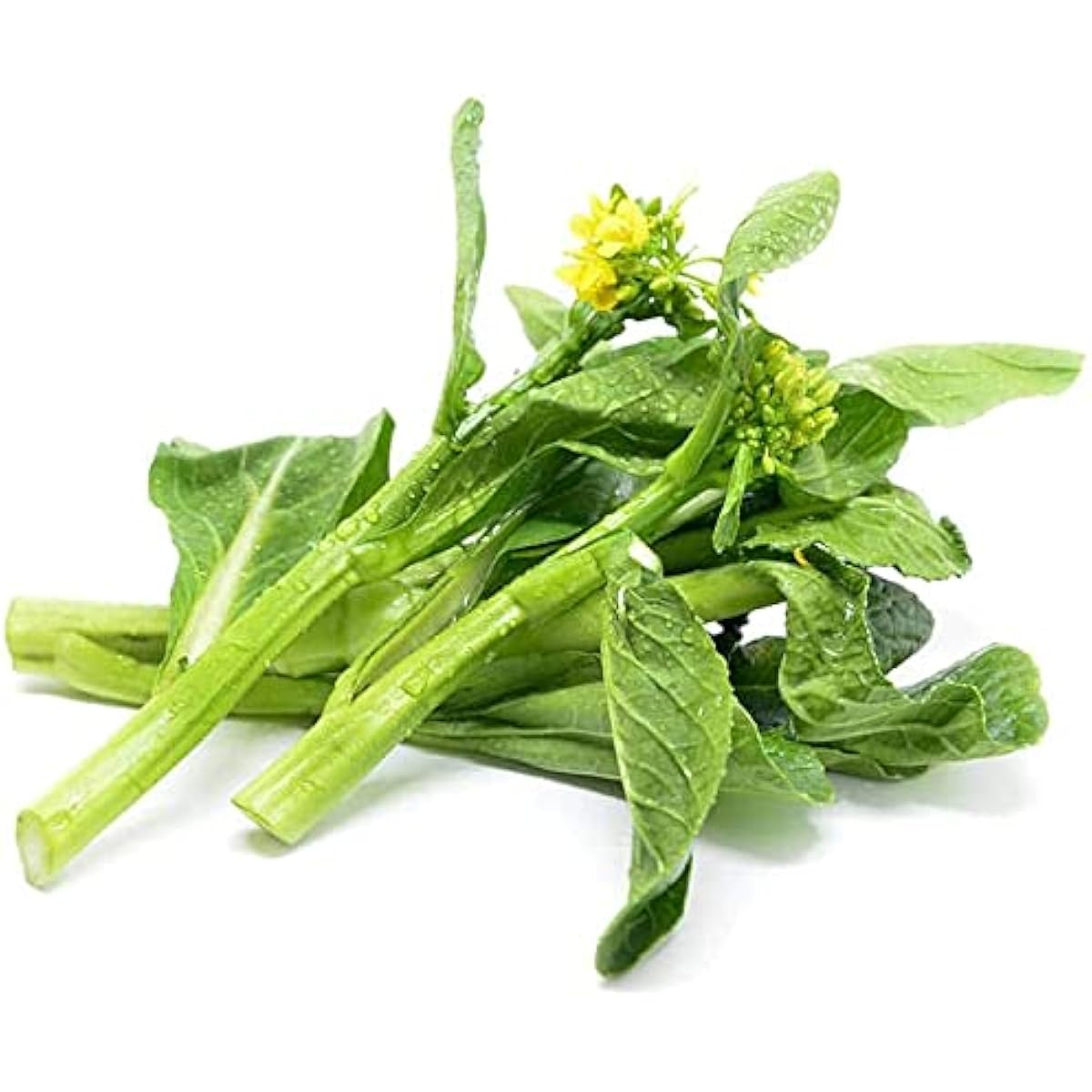 Choy Sum Cabbage Seeds Up to 50% Off
