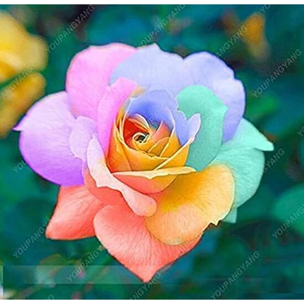 Green Rose | Rare Color Perennial Flower Seeds for Home &amp; Garden Decoration Up to 50%