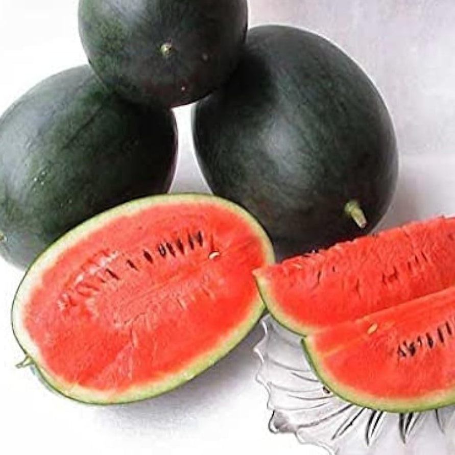 Densuke Watermelon Seeds up to 50%