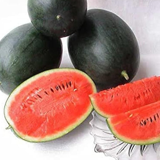 Densuke Watermelon Seeds