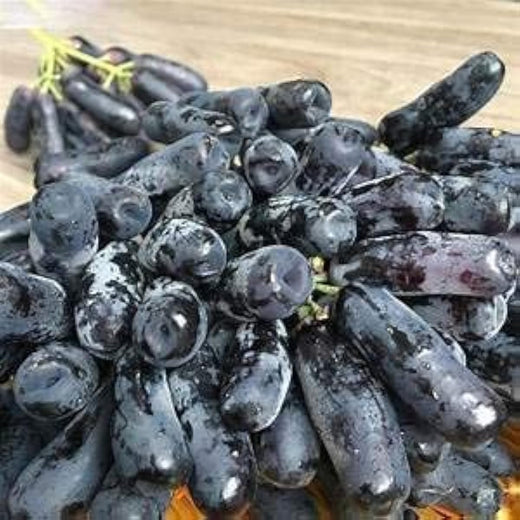 Black Finger Grape Seeds