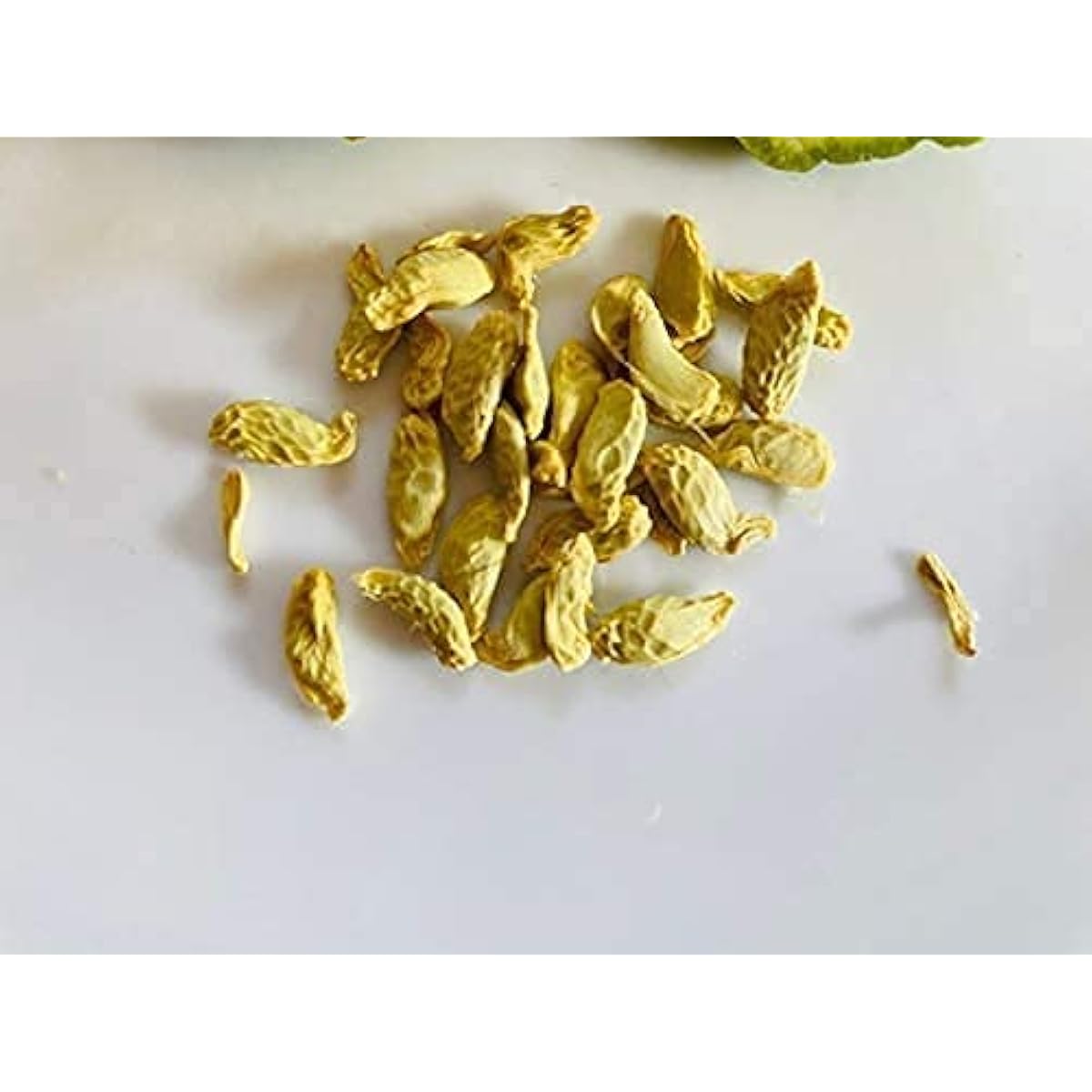 Kaffir Lime Tree Seeds Up to 50% Off