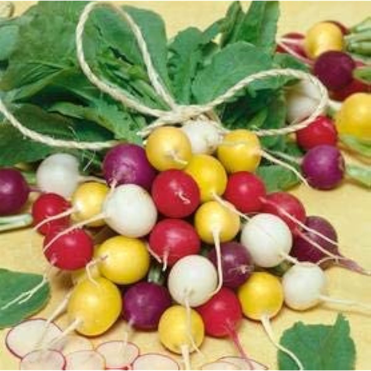 Yellow Radish Vegetable Seeds Up to 50% Off