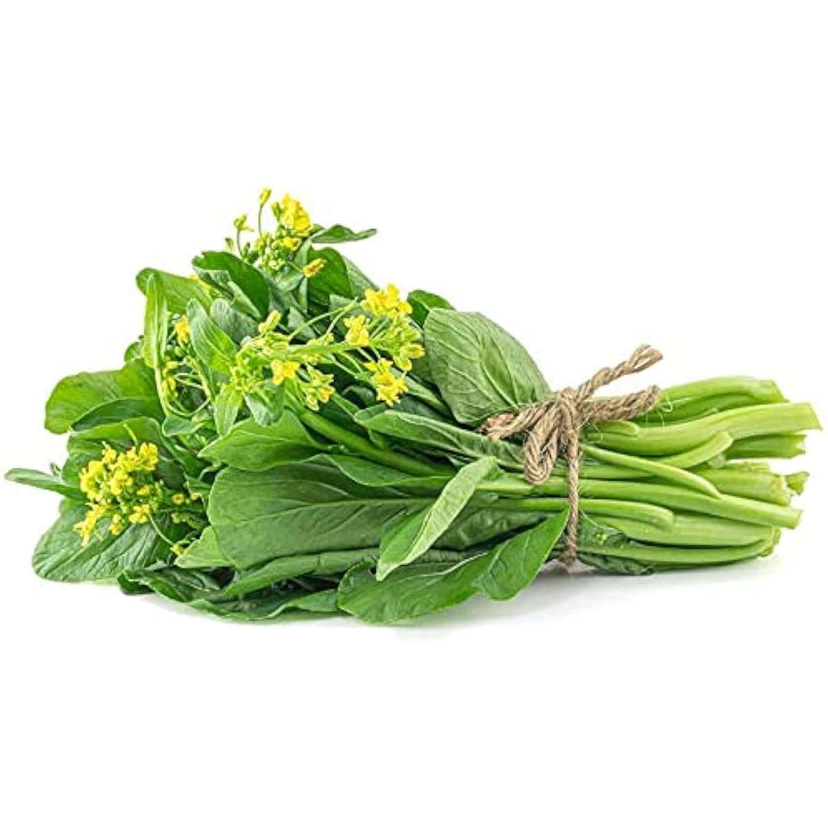 Choy Sum Cabbage Seeds up to 50%