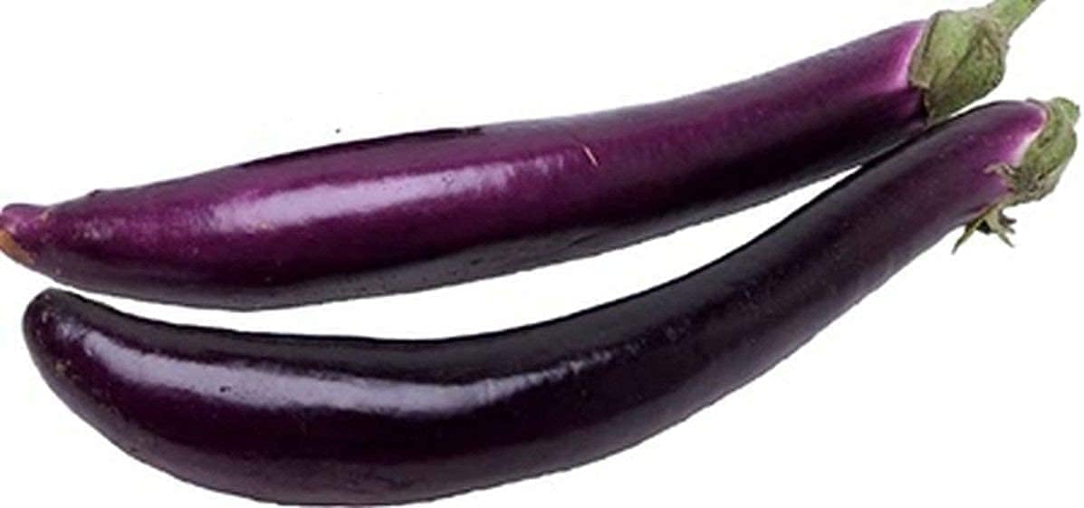 High-Yield Hybrid Eggplant Seeds – up to 50%