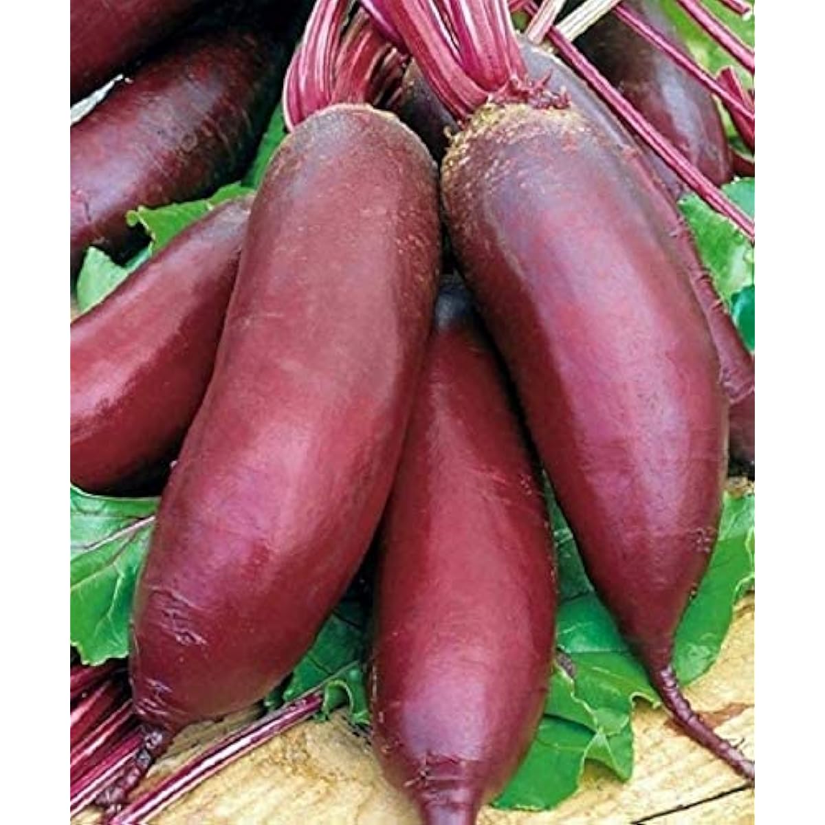 Rival Beetroot Seeds Up to 50% Off