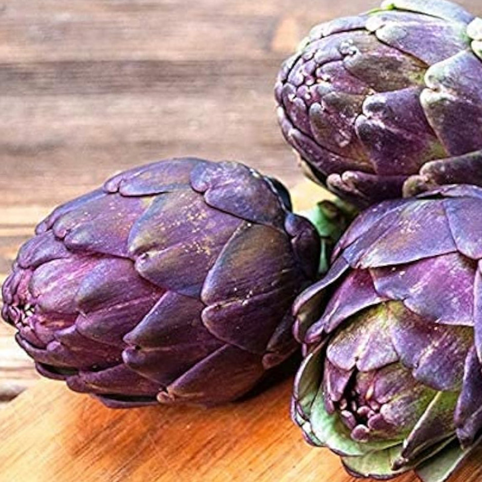 Purple Romagna Artichoke Seeds up to 50%