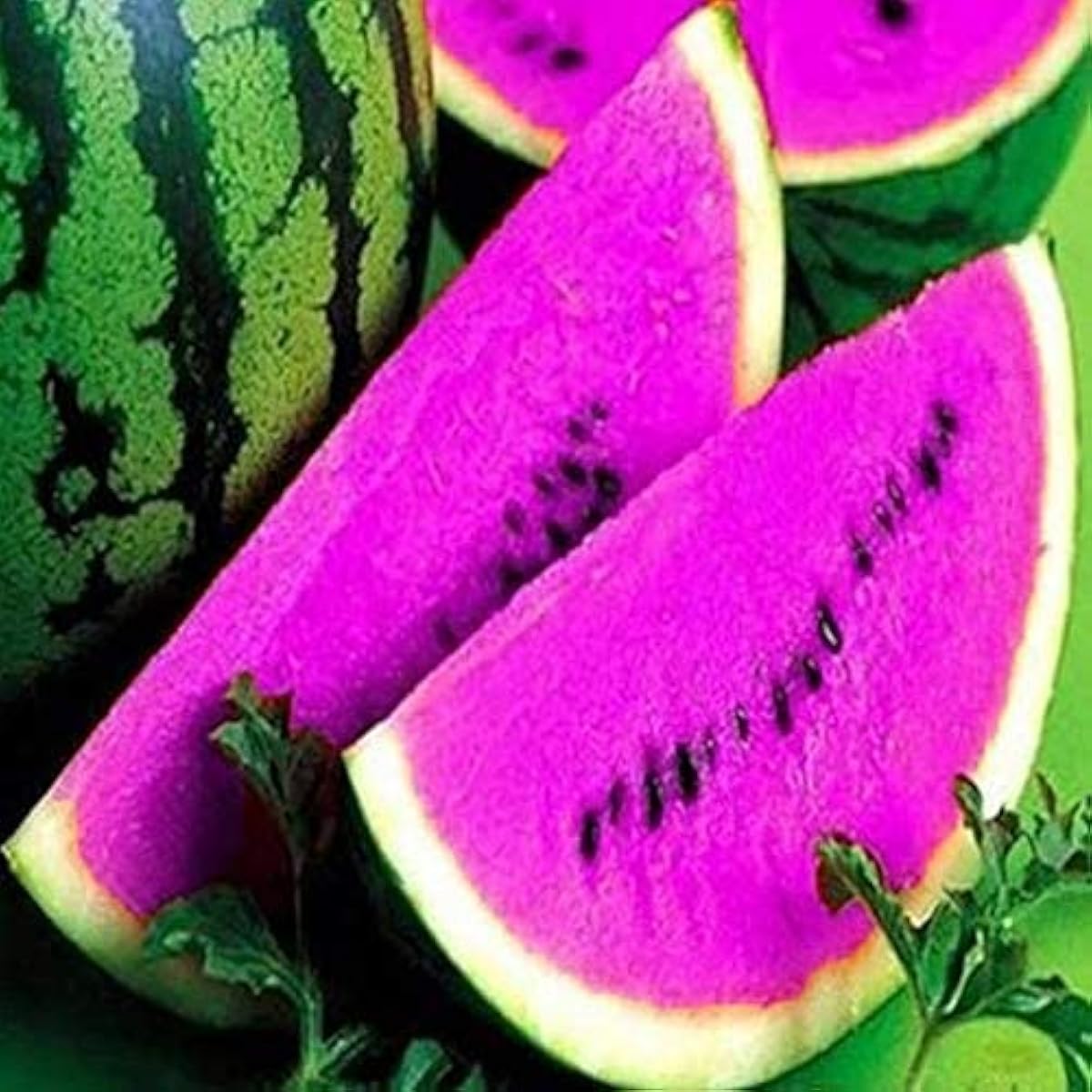 Blue Watermelon Seeds Up to 50% Off