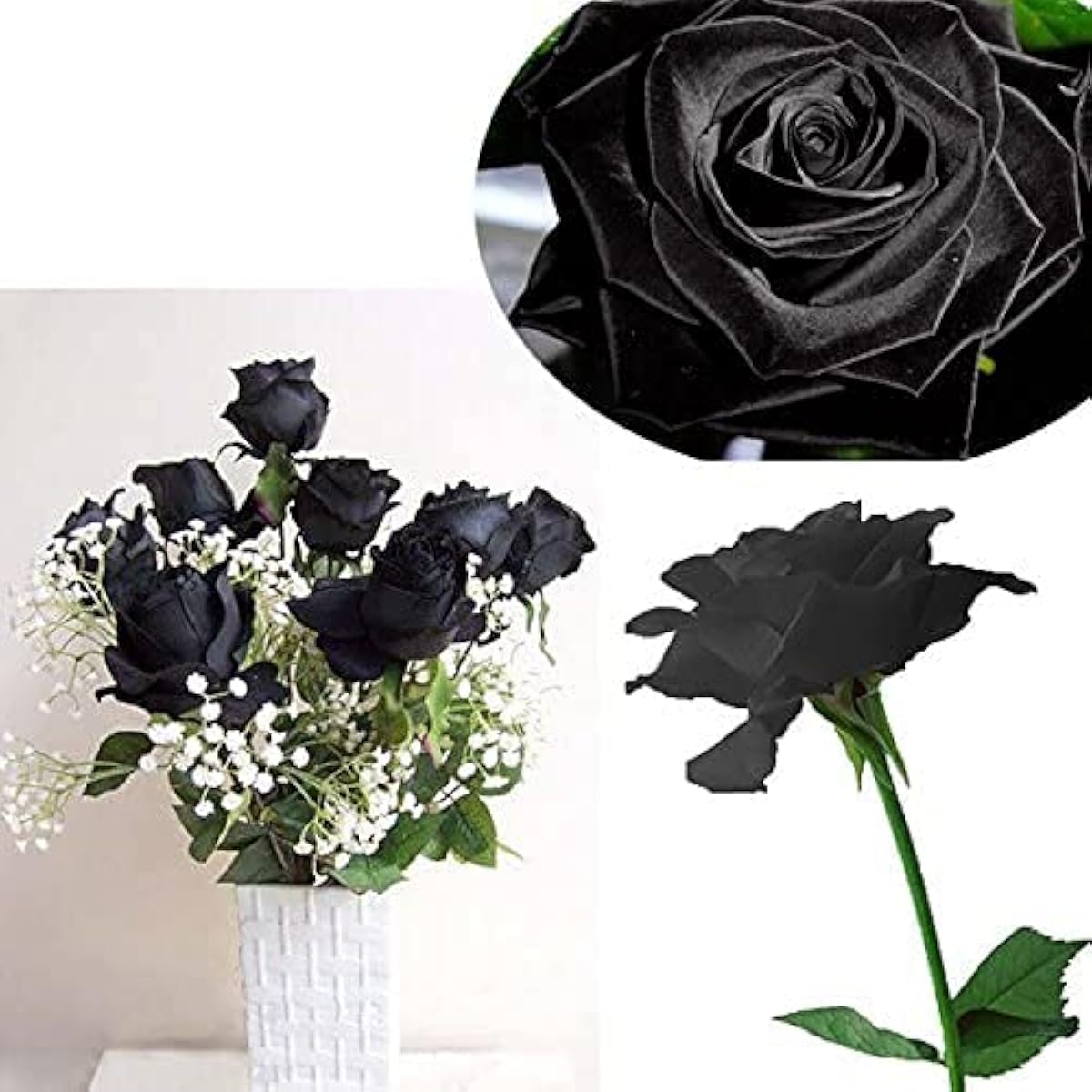 Black Rose Flower Seeds up to 50%