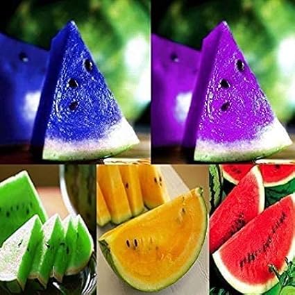 Yellow Watermelon Seeds up to 50%