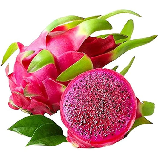 Red Dragon Fruit Seeds
