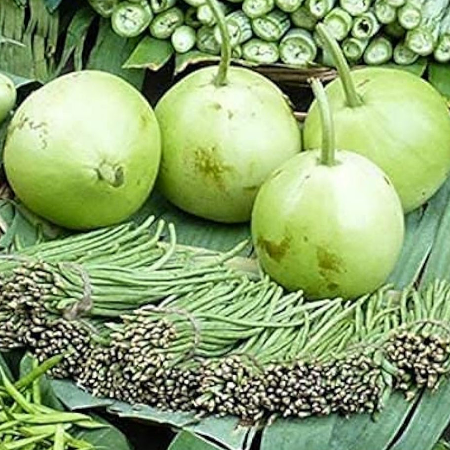 Round Bottle Gourd Seeds Up to 50% Off