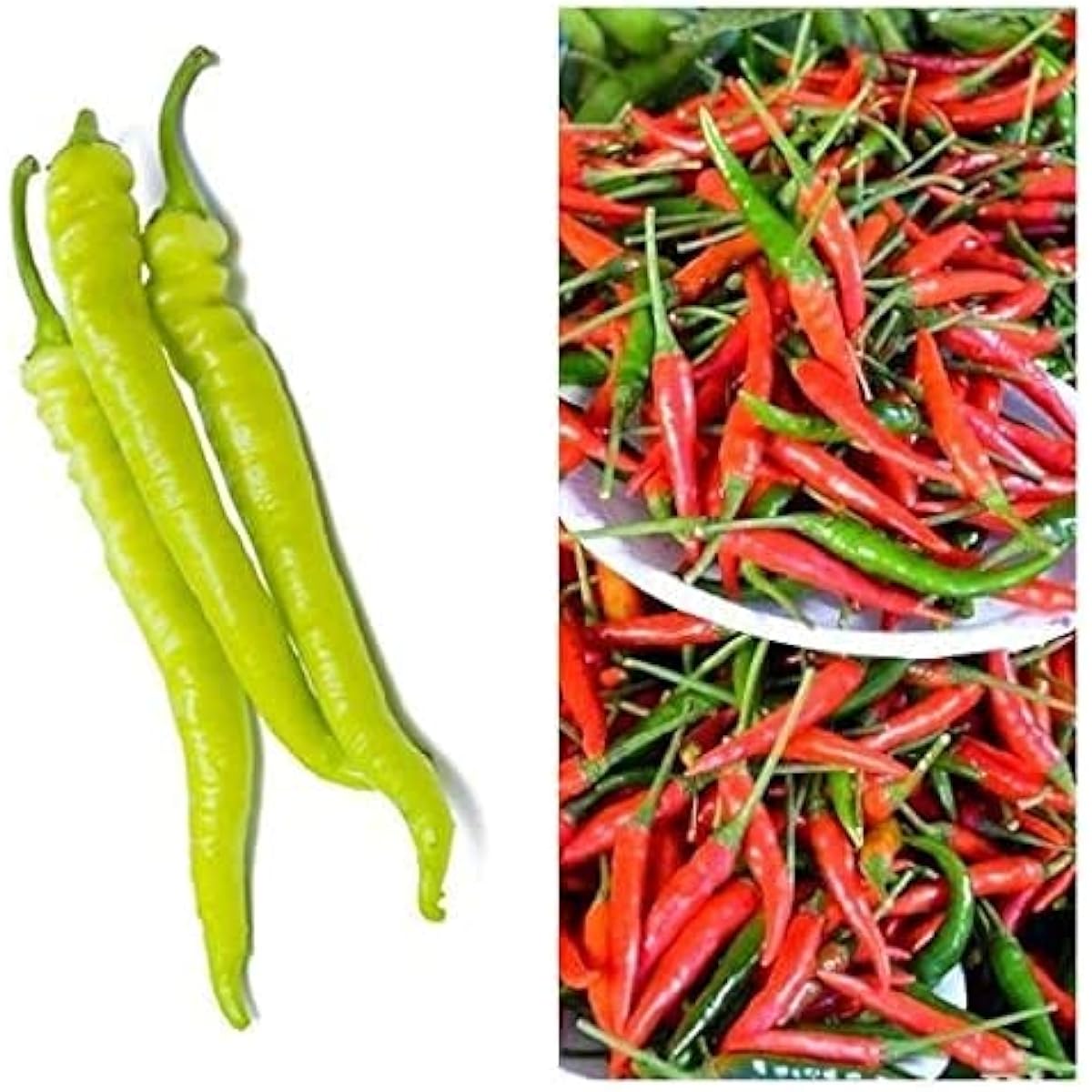 Philippine Hot Pepper Seeds prime day up to 50%