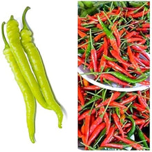 Philippine Hot Pepper Seeds