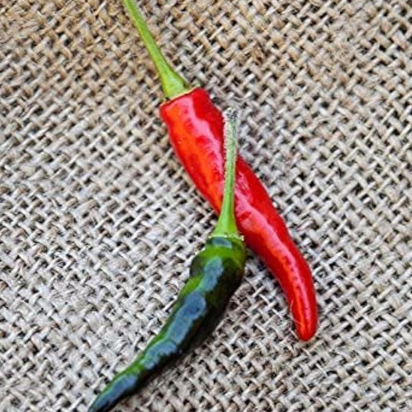 Black Cobra Goats Weed Heirloom Chile Pepper Seeds – Up to 50%