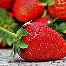 Strawberry Seeds