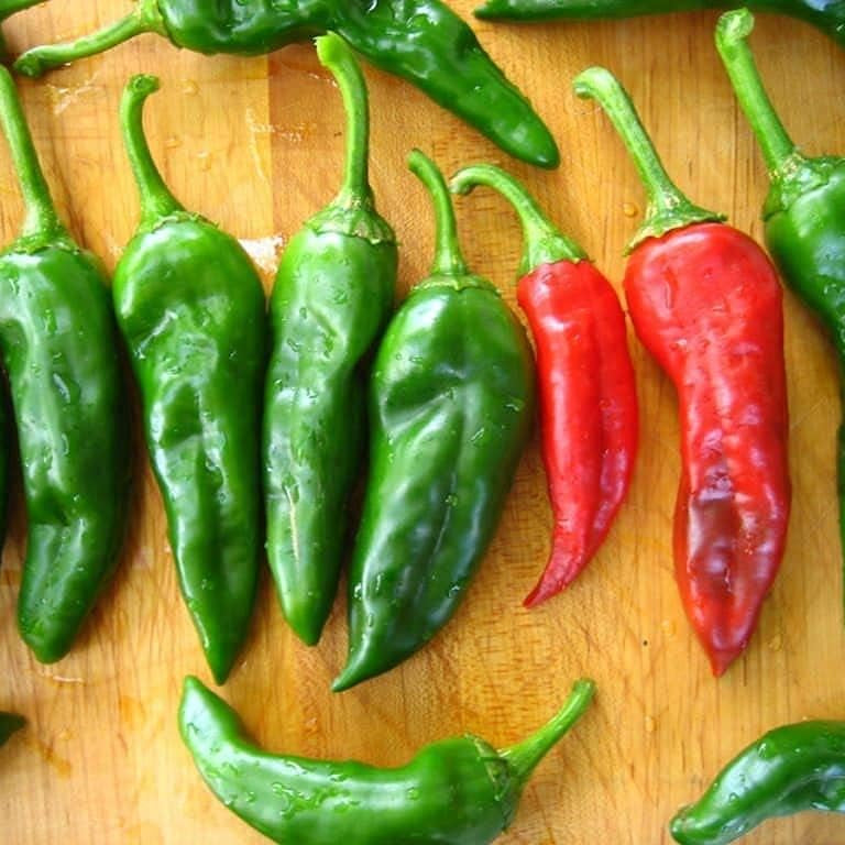 Chimayo New Mexico Posole Chile Pepper Seeds – Heirloom Culinary Pepper – Up to 50%
