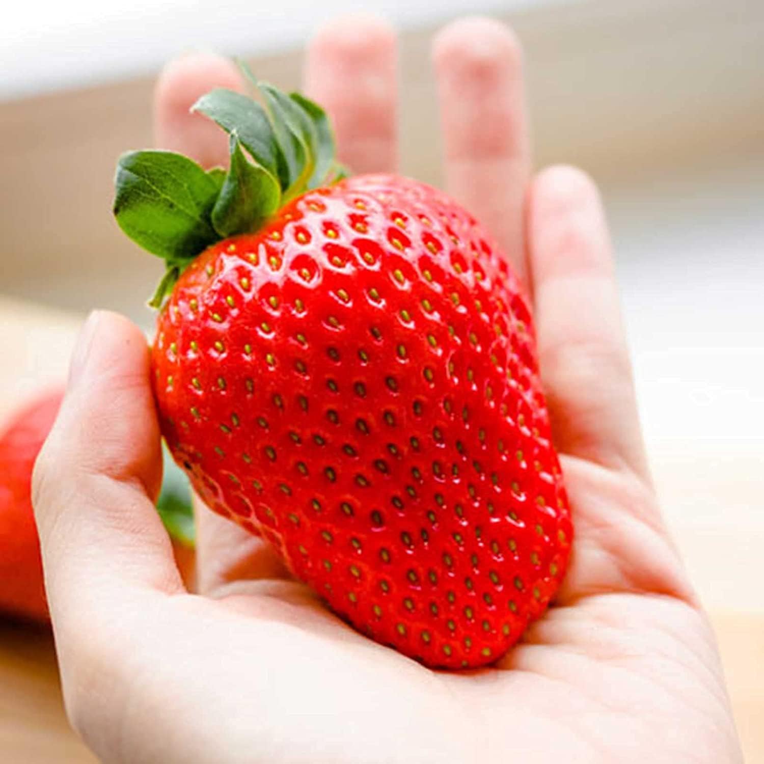 Large Strawberry Seeds  up to 50%