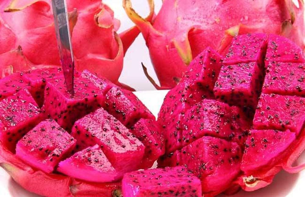 Red Dragon Fruit - Pitaya Plant Seeds for Garden Growing up to 50%
