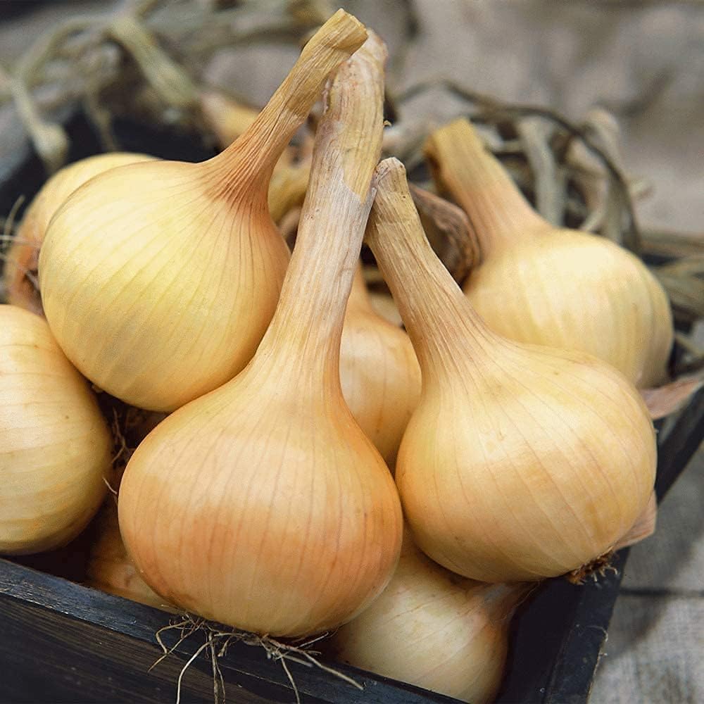Walla Walla Sweet Onion Seeds Up to 50% Off