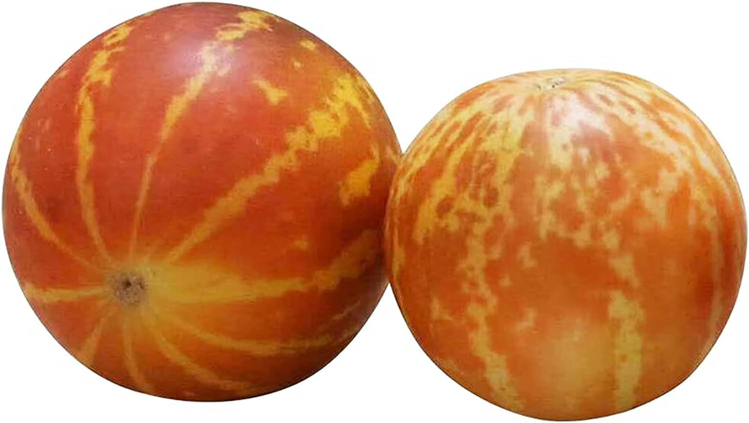 Tigger Melon Seeds Up to 50% Off